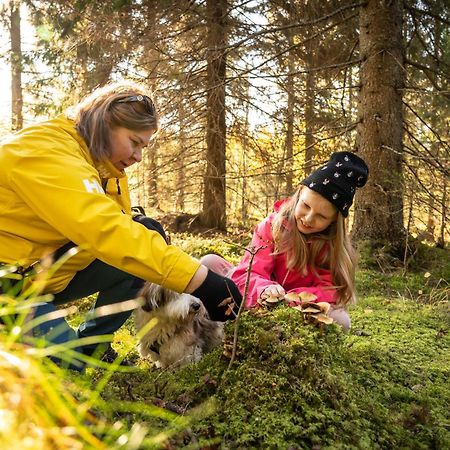 Koli Freetime Cottages Ахмоваара Экстерьер фото
