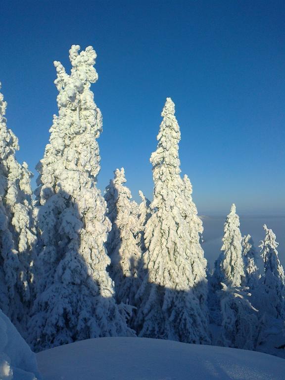 Koli Freetime Cottages Ахмоваара Номер фото
