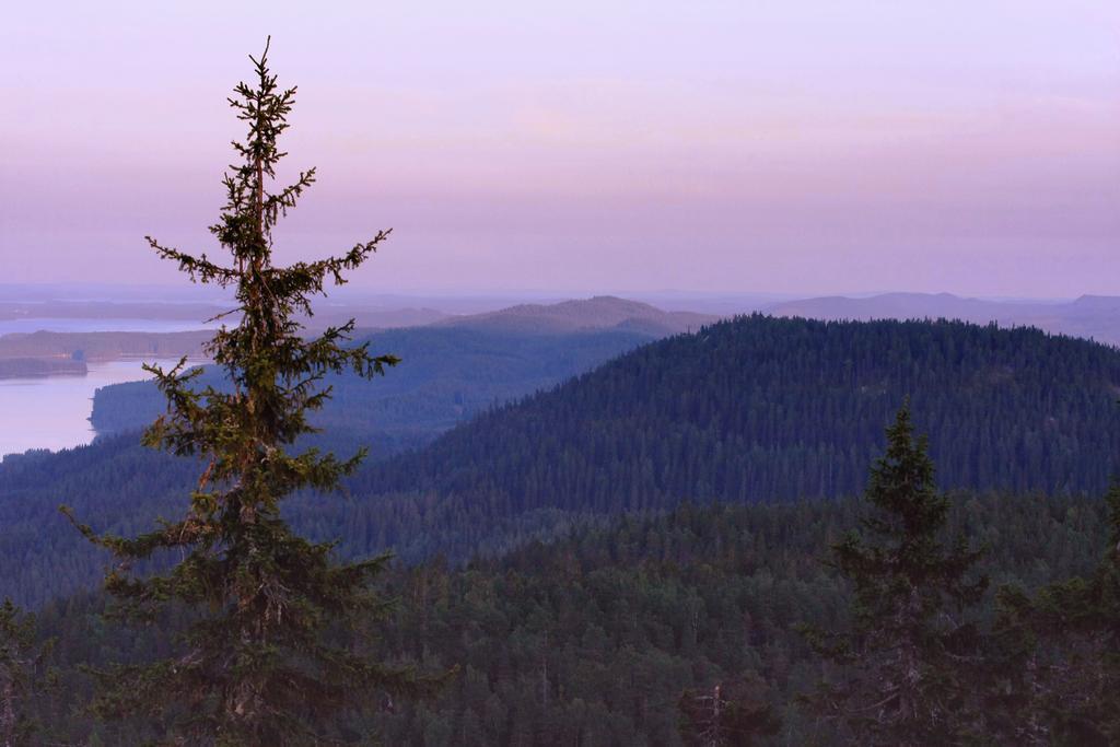 Koli Freetime Cottages Ахмоваара Номер фото