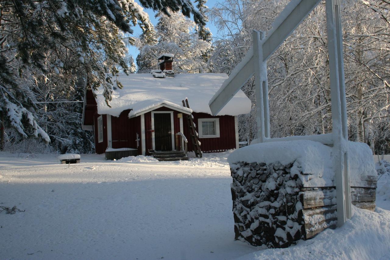 Koli Freetime Cottages Ахмоваара Экстерьер фото